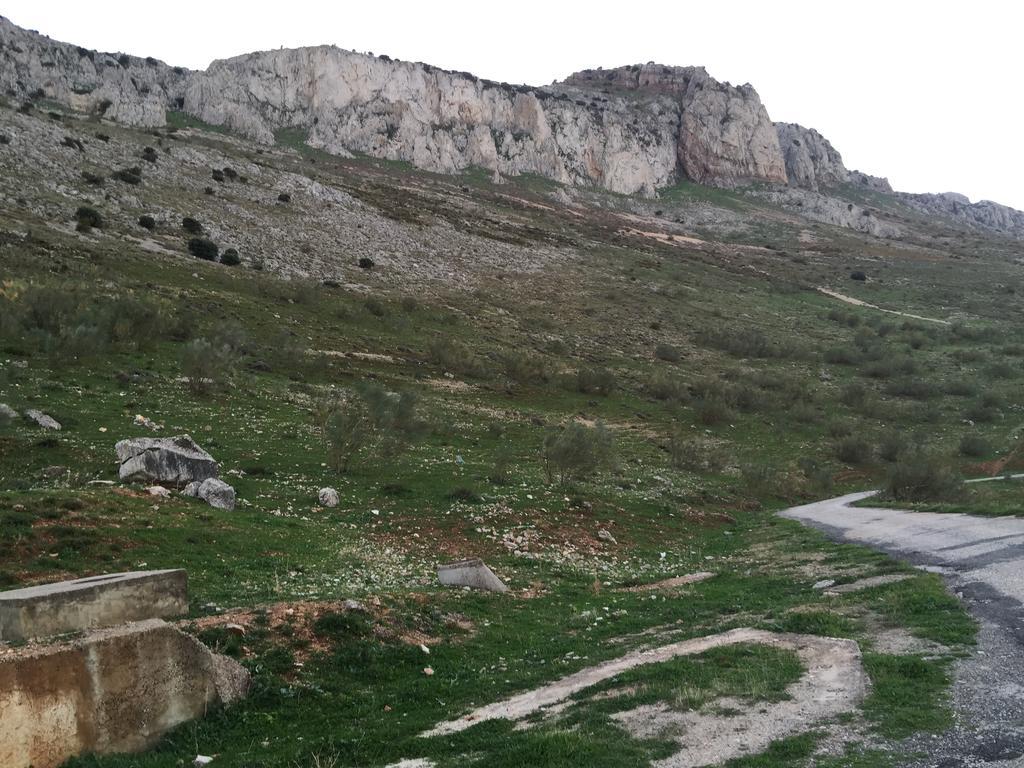 Hotel Antequera Rural Fortes La Nuit Mollina Eksteriør bilde