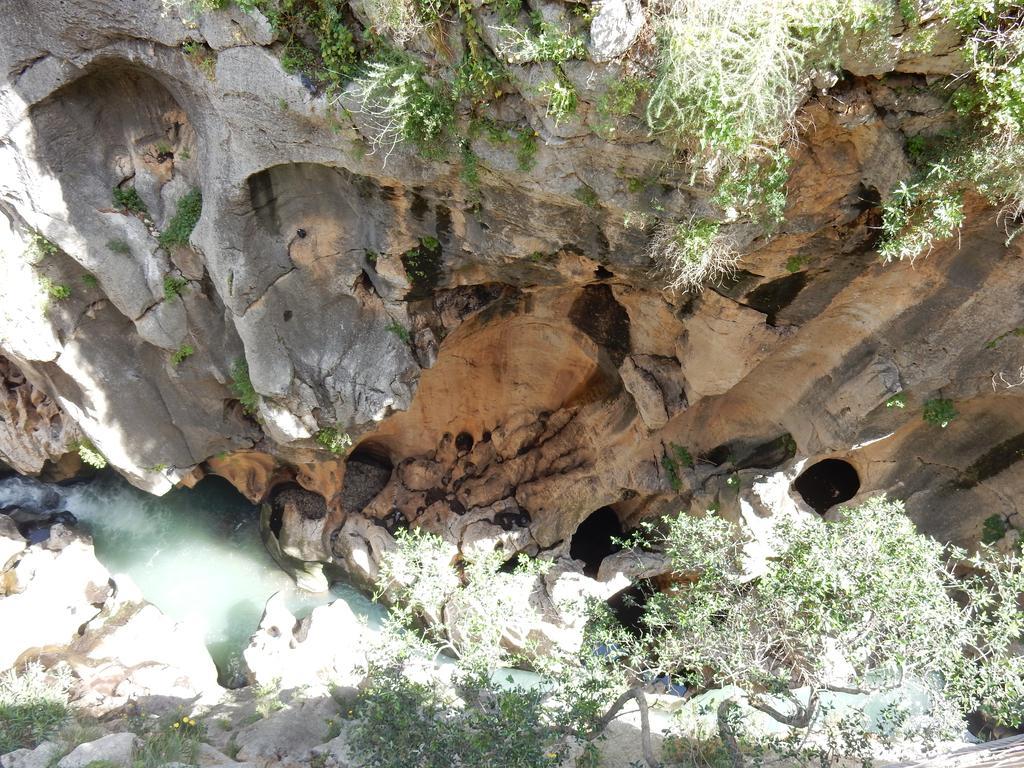 Hotel Antequera Rural Fortes La Nuit Mollina Eksteriør bilde